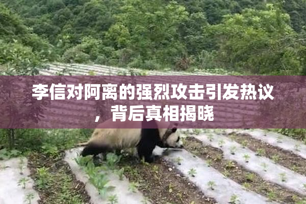 李信对阿离的强烈攻击引发热议，背后真相揭晓
