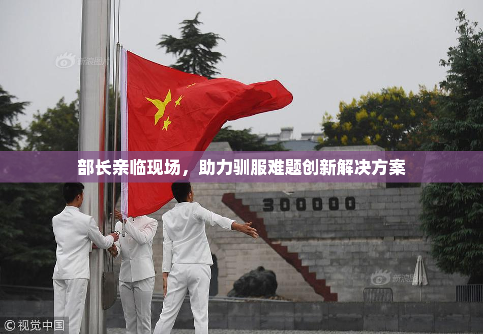 部长亲临现场，助力驯服难题创新解决方案