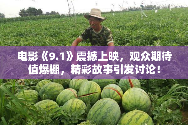 电影《9.1》震撼上映，观众期待值爆棚，精彩故事引发讨论！