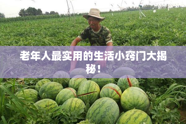 老年人最实用的生活小窍门大揭秘！