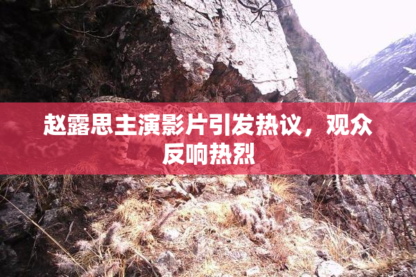 赵露思主演影片引发热议，观众反响热烈