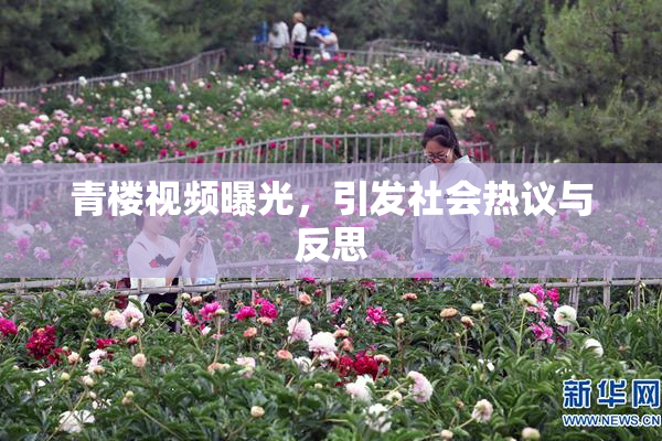 青楼视频曝光，引发社会热议与反思