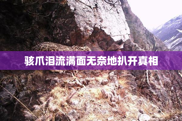 骇爪泪流满面无奈地扒开真相