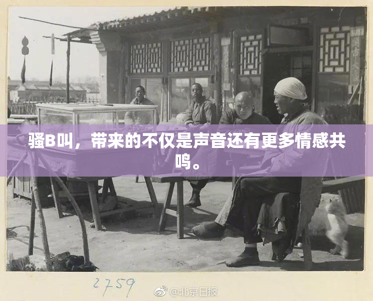 骚B叫，带来的不仅是声音还有更多情感共鸣。