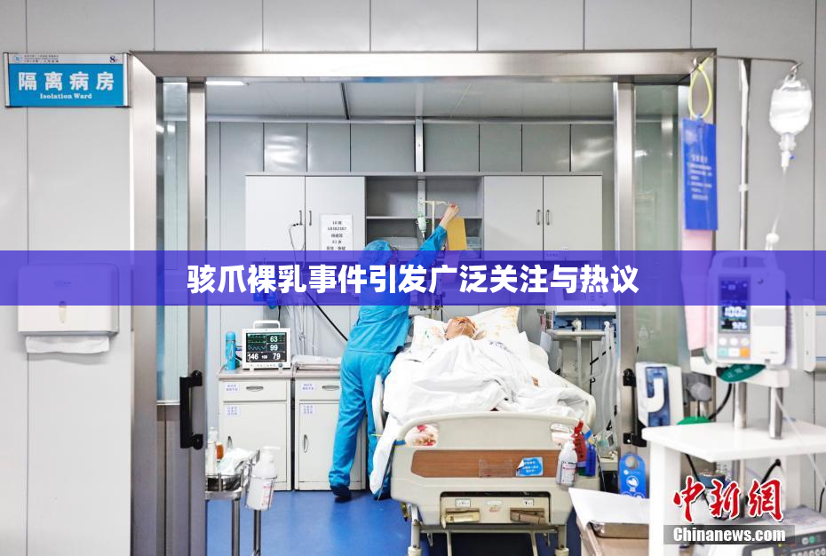 骇爪裸乳事件引发广泛关注与热议