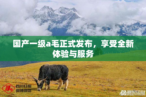 国产一级a毛正式发布，享受全新体验与服务