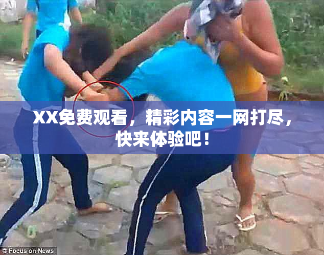 XX免费观看，精彩内容一网打尽，快来体验吧！