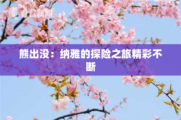 熊出没：纳雅的探险之旅精彩不断