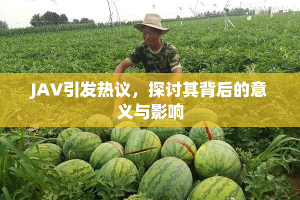 JAV引发热议，探讨其背后的意义与影响