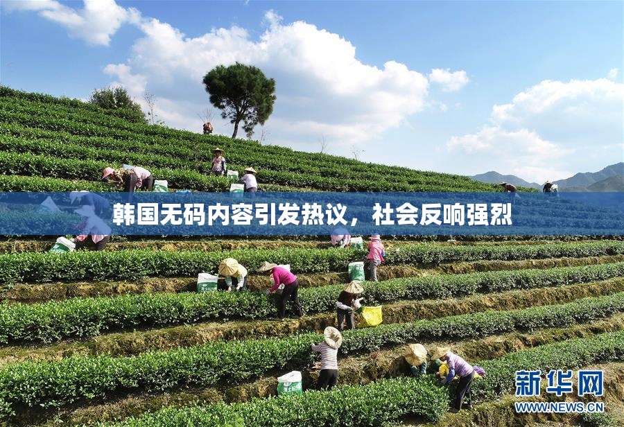 韩国无码内容引发热议，社会反响强烈