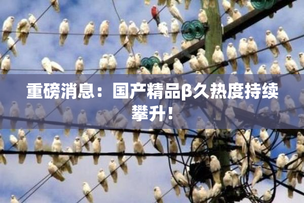 重磅消息：国产精品β久热度持续攀升！