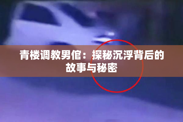 青楼调教男倌：探秘沉浮背后的故事与秘密