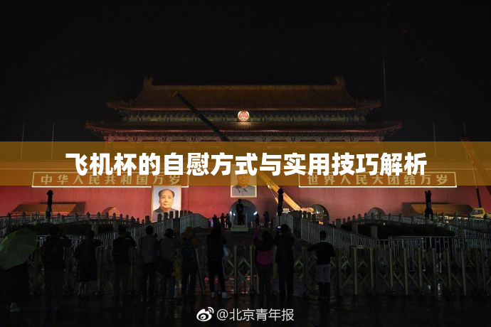 飞机杯的自慰方式与实用技巧解析