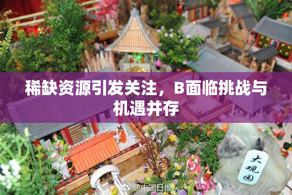 稀缺资源引发关注，B面临挑战与机遇并存
