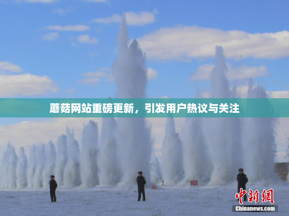 蘑菇网站重磅更新，引发用户热议与关注