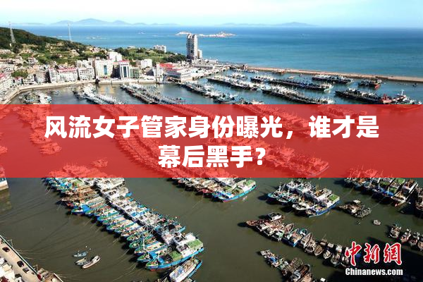 风流女子管家身份曝光，谁才是幕后黑手？