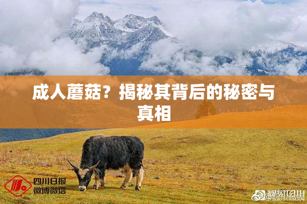 成人蘑菇？揭秘其背后的秘密与真相