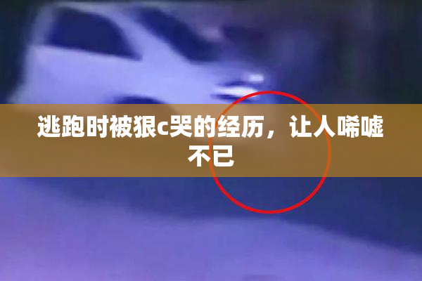 逃跑时被狠c哭的经历，让人唏嘘不已