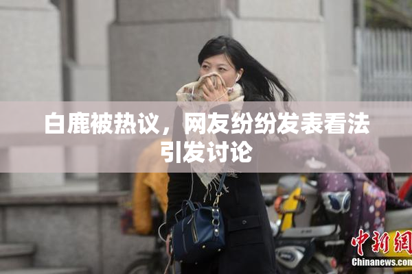 白鹿被热议，网友纷纷发表看法引发讨论