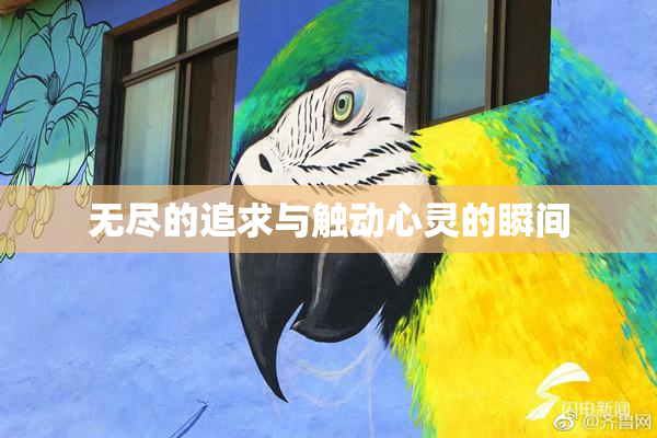 无尽的追求与触动心灵的瞬间