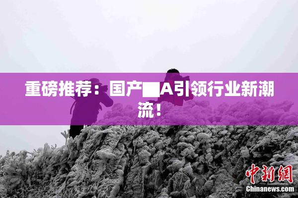 重磅推荐：国产▇A引领行业新潮流！