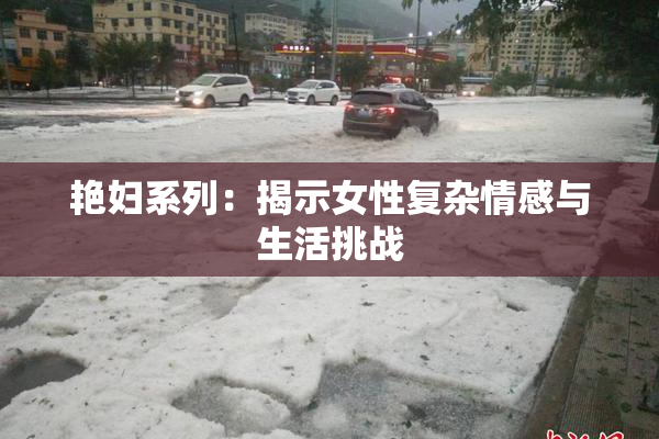 艳妇系列：揭示女性复杂情感与生活挑战