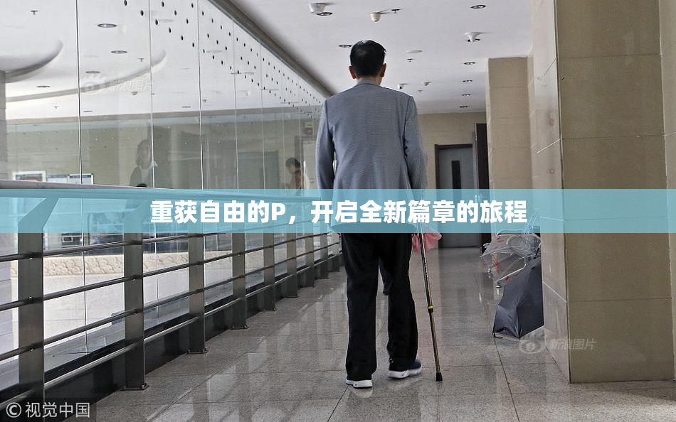 重获自由的P，开启全新篇章的旅程
