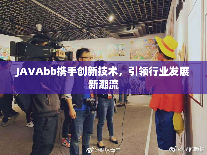 JAVAbb携手创新技术，引领行业发展新潮流