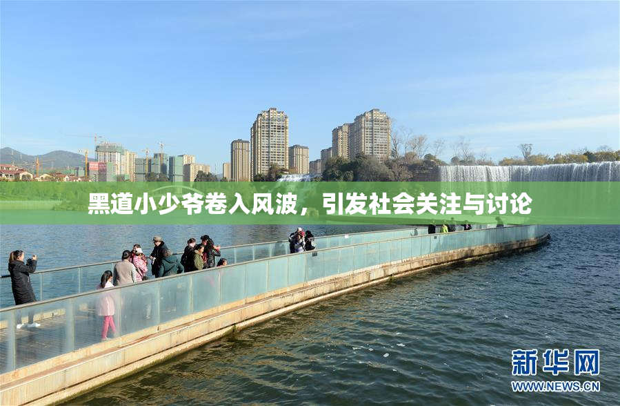 黑道小少爷卷入风波，引发社会关注与讨论