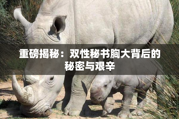 重磅揭秘：双性秘书胸大背后的秘密与艰辛