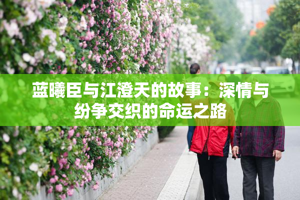 蓝曦臣与江澄天的故事：深情与纷争交织的命运之路