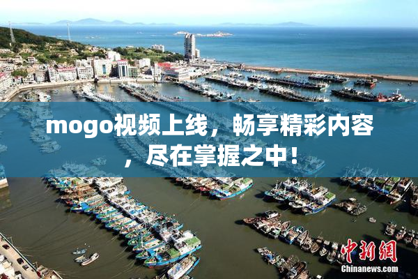 mogo视频上线，畅享精彩内容，尽在掌握之中！