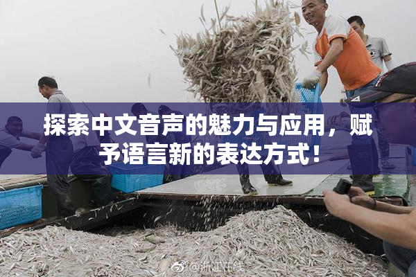 探索中文音声的魅力与应用，赋予语言新的表达方式！