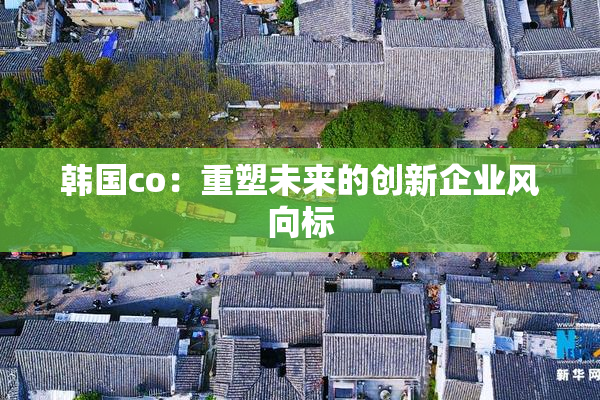 韩国co：重塑未来的创新企业风向标