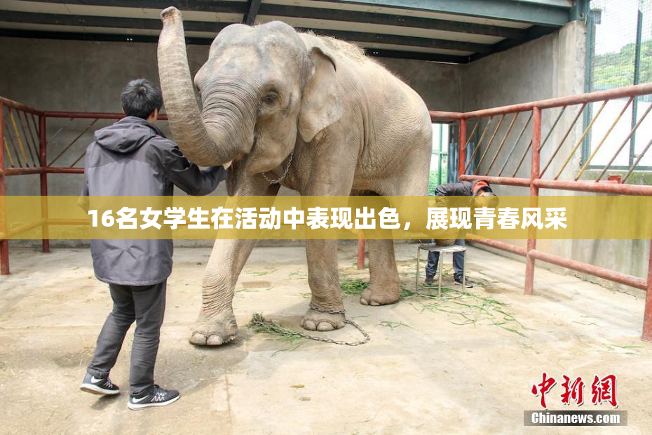 16名女学生在活动中表现出色，展现青春风采