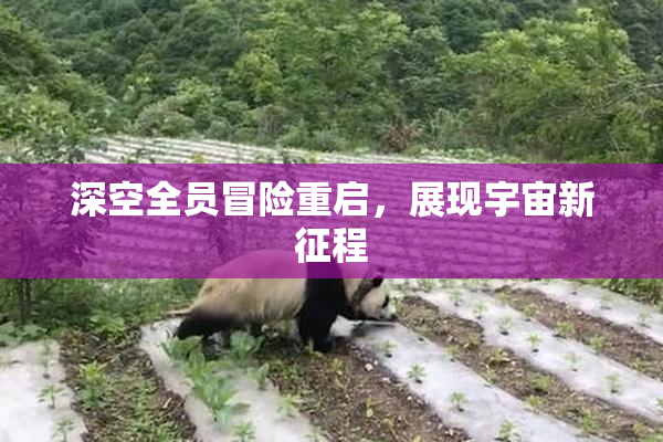 深空全员冒险重启，展现宇宙新征程