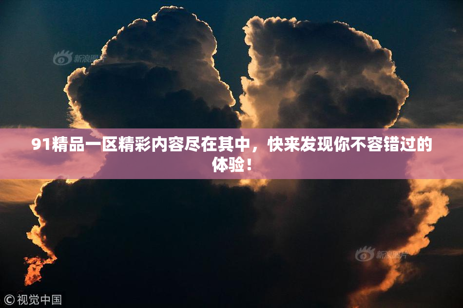 91精品一区精彩内容尽在其中，快来发现你不容错过的体验！