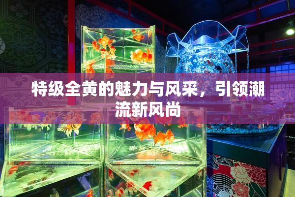 特级全黄的魅力与风采，引领潮流新风尚