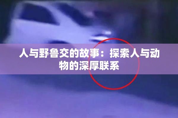 人与野鲁交的故事：探索人与动物的深厚联系