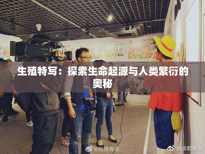 生殖特写：探索生命起源与人类繁衍的奥秘