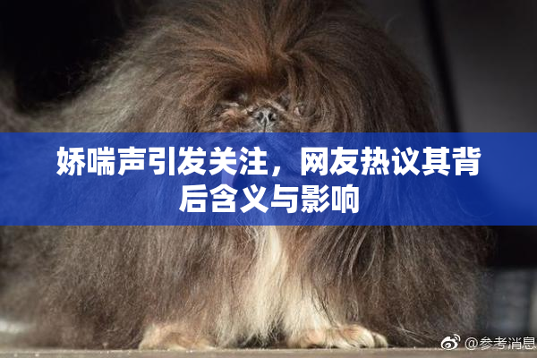 娇喘声引发关注，网友热议其背后含义与影响