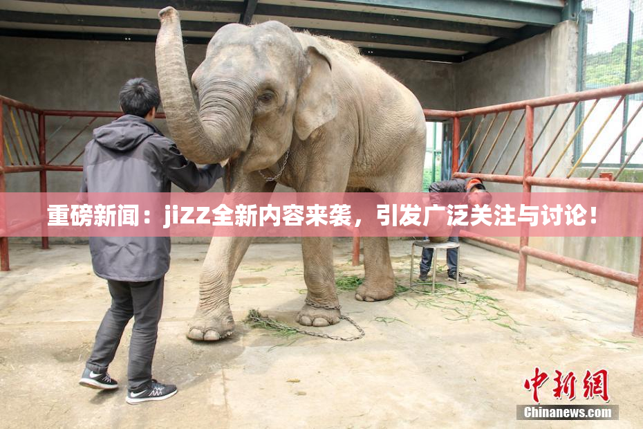 重磅新闻：jiZZ全新内容来袭，引发广泛关注与讨论！