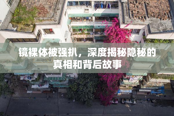 镜裸体被强扒，深度揭秘隐秘的真相和背后故事