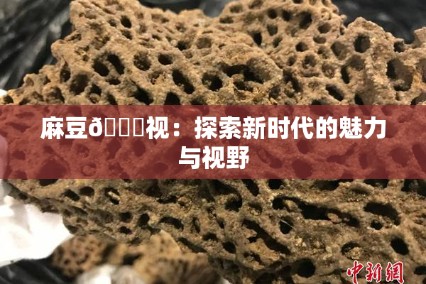 麻豆🔞视：探索新时代的魅力与视野