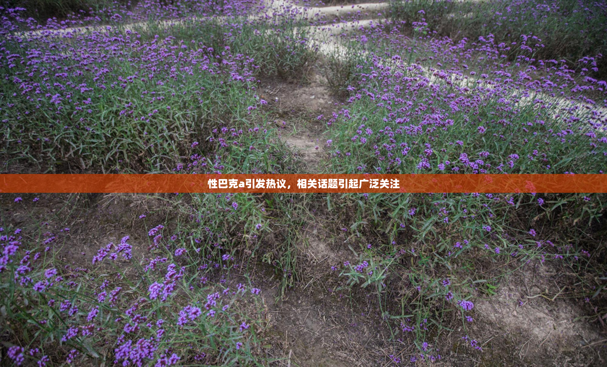 性巴克a引发热议，相关话题引起广泛关注