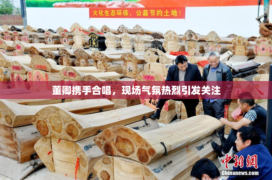 董卿携手合唱，现场气氛热烈引发关注