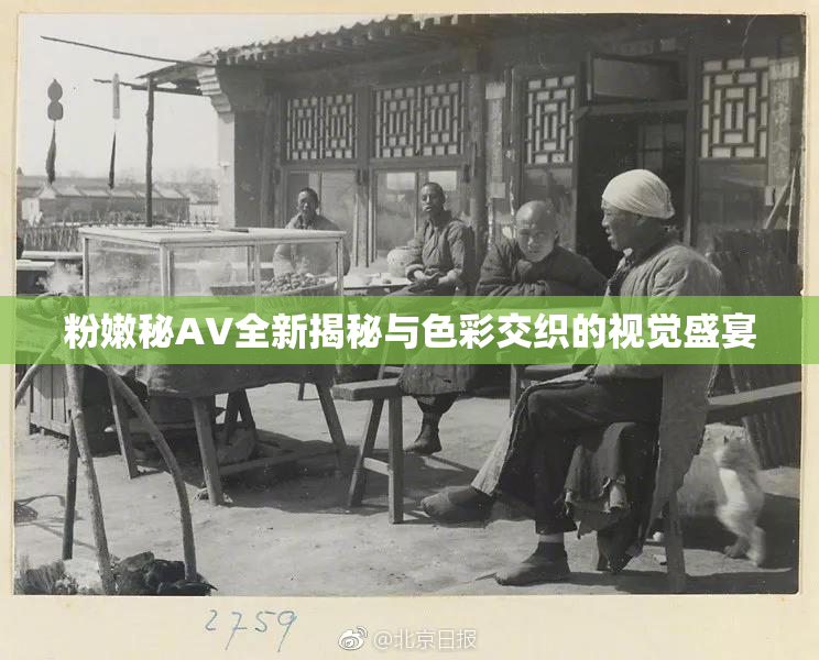粉嫩秘AV全新揭秘与色彩交织的视觉盛宴