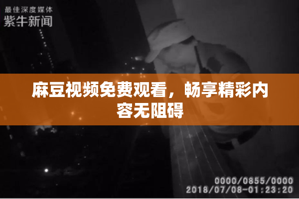 麻豆视频免费观看，畅享精彩内容无阻碍