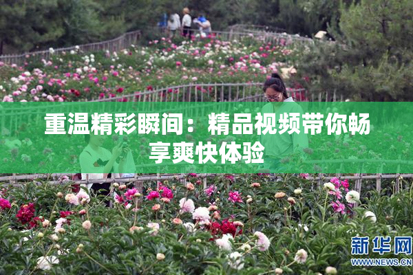 重温精彩瞬间：精品视频带你畅享爽快体验