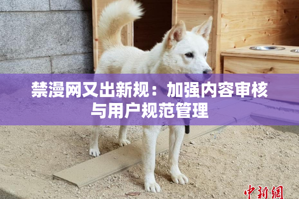 禁漫网又出新规：加强内容审核与用户规范管理